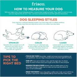 Frisco Cat Donut Bed -Pet Cat Store 333854 PT3. AC SS1800 V1658718001