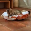 Frisco Calico Cat Design Adjustable Cat Bolster Bed -Pet Cat Store 333860 MAIN. AC SS1800 V1658718002