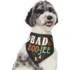 Frisco Bad & Boo-Jee Dog & Cat Costume Bandana -Pet Cat Store 334807 MAIN. AC SS1800 V1658368617