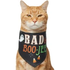 Frisco Bad & Boo-Jee Dog & Cat Costume Bandana -Pet Cat Store 334807 PT2. AC SS1800 V1659034006