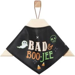Frisco Bad & Boo-Jee Dog & Cat Costume Bandana -Pet Cat Store 334807 PT4. AC SS1800 V1658368618