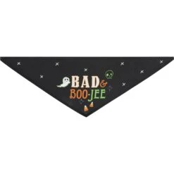 Frisco Bad & Boo-Jee Dog & Cat Costume Bandana -Pet Cat Store 334807 PT5. AC SS1800 V1658368716