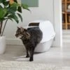 Frisco Modern Hooded Cat Litter Box -Pet Cat Store 341985 MAIN. AC SS1800 V1642605052