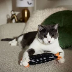 Frisco Halloween A-Paw-Thecary Kicker Plush Cat Toy With Catnip -Pet Cat Store 344000 PT3. AC SS1800 V1657657029