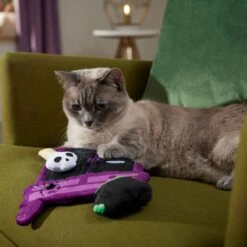 Frisco Halloween Magical Wardrobe Interactive Plush Cat Toy With Catnip -Pet Cat Store 344078 PT3. AC SS1800 V1657657033