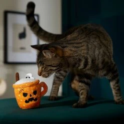 Frisco Halloween Spooky Pumpkin Spice Latte Plush Cat Toy With Catnip 8 Frisco Halloween Spooky Pumpkin Spice Latte Plush Cat Toy With Catnip -Pet Cat Store 344080 PT3. AC SS1800 V1657657033