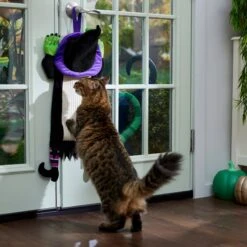 Frisco Halloween Witch Doorknob Hanger Cat Toy With Catnip -Pet Cat Store 344092 PT3. AC SS1800 V1657657035
