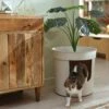 Frisco Hidden Planter Cat Litter Box, 16-in -Pet Cat Store 345566 MAIN. AC SS1800 V1667226956