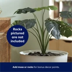 Frisco Hidden Planter Cat Litter Box, 16-in 12 Frisco Hidden Planter Cat Litter Box, 16-in -Pet Cat Store 345566 PT4. AC SS1800 V1668737273