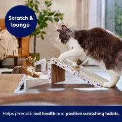 Frisco Nesting Cat Scratcher Toy With Catnip, Modern Terrazzo 8 Frisco Nesting Cat Scratcher Toy With Catnip, Modern Terrazzo -Pet Cat Store 347213 PT3. AC SS1800 V1659699272