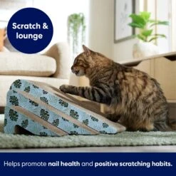 Frisco Nesting Cat Scratcher Toy With Catnip, Tropical Paradise -Pet Cat Store 347215 PT3. AC SS1800 V1659699261