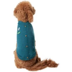 Frisco Teal Button Down Dog & Cat Sweater -Pet Cat Store 353580 PT2. AC SS1800 V1659006937