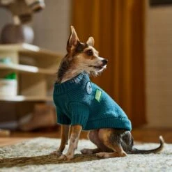 Frisco Teal Button Down Dog & Cat Sweater -Pet Cat Store 353580 PT7. AC SS1800 V1660749932