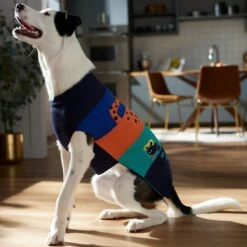Frisco Anaconda Cheetah Colorblock Dog & Cat Sweater 14 Frisco Anaconda Cheetah Colorblock Dog & Cat Sweater -Pet Cat Store 353596 PT7. AC SS1800 V1660749560