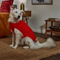 Frisco Plaid Cable Knit Dog & Cat Sweater -Pet Cat Store 353611 PT7. AC SS1800 V1660749926