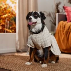 Frisco Tweed Weave Ruffle Skirt Dog & Cat Dress -Pet Cat Store 353649 PT6. AC SS1800 V1660750168