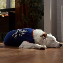 Frisco Shed Happens Dog & Cat T-Shirt 14 Frisco Shed Happens Dog & Cat T-Shirt -Pet Cat Store 353698 PT7. AC SS1800 V1660749629