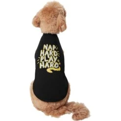 Frisco Nap Hard Play Hard Dog & Cat T-Shirt 11 Frisco Nap Hard Play Hard Dog & Cat T-Shirt -Pet Cat Store 353713 PT2. AC SS1800 V1659010872