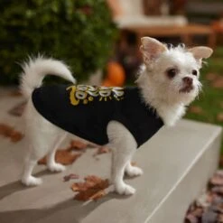 Frisco Nap Hard Play Hard Dog & Cat T-Shirt 14 Frisco Nap Hard Play Hard Dog & Cat T-Shirt -Pet Cat Store 353713 PT7. AC SS1800 V1660750172