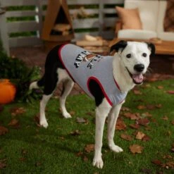 Frisco Little Champ Dog & Cat T-Shirt 14 Frisco Little Champ Dog & Cat T-Shirt -Pet Cat Store 353722 PT7. AC SS1800 V1660749632