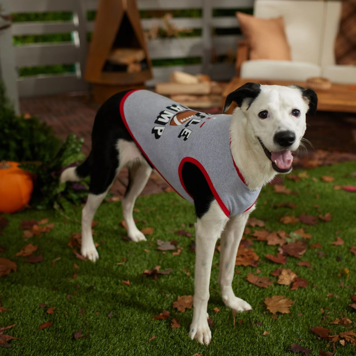 Frisco Little Champ Dog & Cat T-Shirt 8 Frisco Little Champ Dog & Cat T-Shirt - Image 6