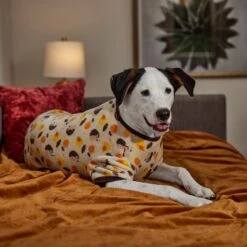 Frisco Hedgehog Dog & Cat Fleece Pajamas 14 Frisco Hedgehog Dog & Cat Fleece Pajamas -Pet Cat Store 353730 PT6. AC SS1800 V1660749991