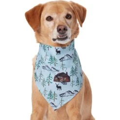 Frisco Moose Lodge Dog & Cat Bandana -Pet Cat Store 353774 PT2. AC SS1800 V1659008241