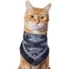 Frisco Southwest Fringe Dog & Cat Bandana 2 Frisco Southwest Fringe Dog & Cat Bandana -Pet Cat Store 353783 MAIN. AC SS1800 V1659010876