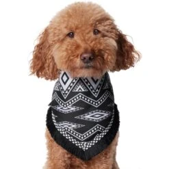 Frisco Southwest Fringe Dog & Cat Bandana 12 Frisco Southwest Fringe Dog & Cat Bandana -Pet Cat Store 353783 PT2. AC SS1800 V1659007315