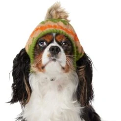 Frisco Striped Poof Dog & Cat Knitted Hat -Pet Cat Store 353793 PT2. AC SS1800 V1659008241