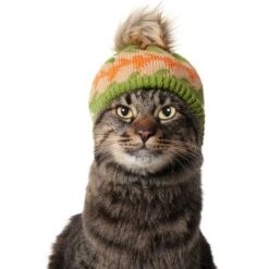 Frisco Striped Poof Dog & Cat Knitted Hat -Pet Cat Store 353793 PT3. AC SS1800 V1659011014