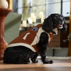 Frisco Lightweight Varsity Dog & Cat Jacket -Pet Cat Store 353861 PT7. AC SS1800 V1660749417