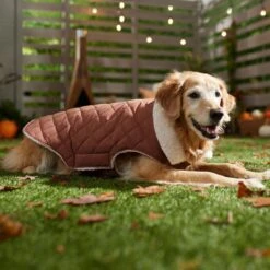 Frisco Mid-Heavyweight Fleece Lined Quilted Dog & Cat Coat -Pet Cat Store 353877 PT7. AC SS1800 V1660750171