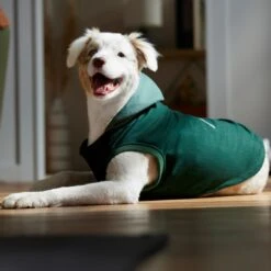 Frisco Lightweight Classic Dog & Cat Coat 14 Frisco Lightweight Classic Dog & Cat Coat -Pet Cat Store 353901 PT7. AC SS1800 V1660749440