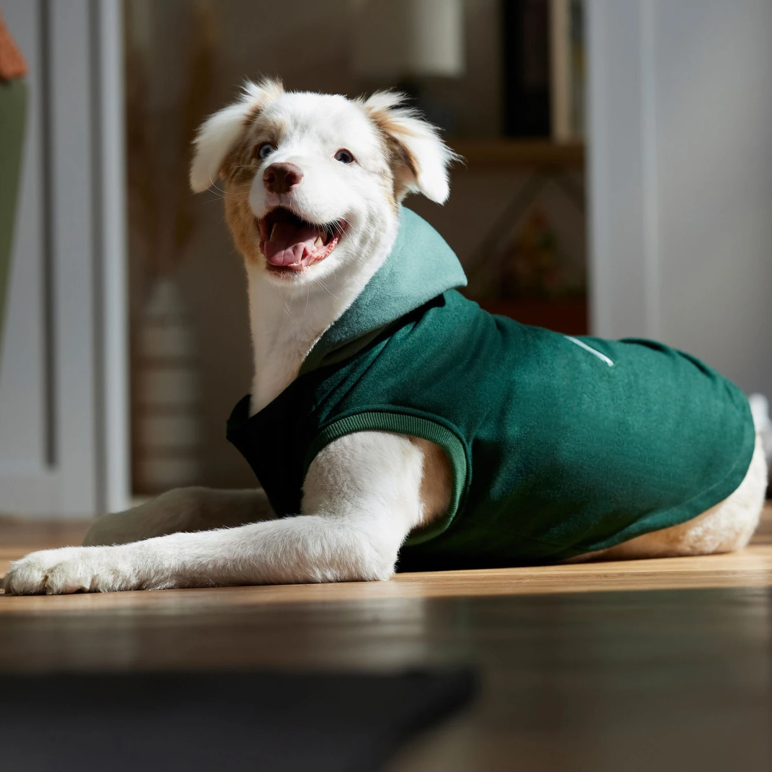 Frisco Lightweight Classic Dog & Cat Coat 8 Frisco Lightweight Classic Dog & Cat Coat - Image 6