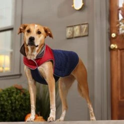 Frisco Mediumweight Cubed Dog & Cat Coat 16 Frisco Mediumweight Cubed Dog & Cat Coat -Pet Cat Store 353917 PT7. AC SS1800 V1660750073