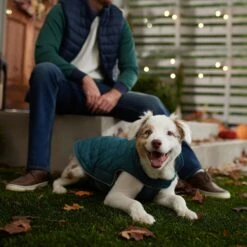 Frisco Mediumweight Reversible Dog & Cat Coat 16 Frisco Mediumweight Reversible Dog & Cat Coat -Pet Cat Store 353932 PT7. AC SS1800 V1660749442