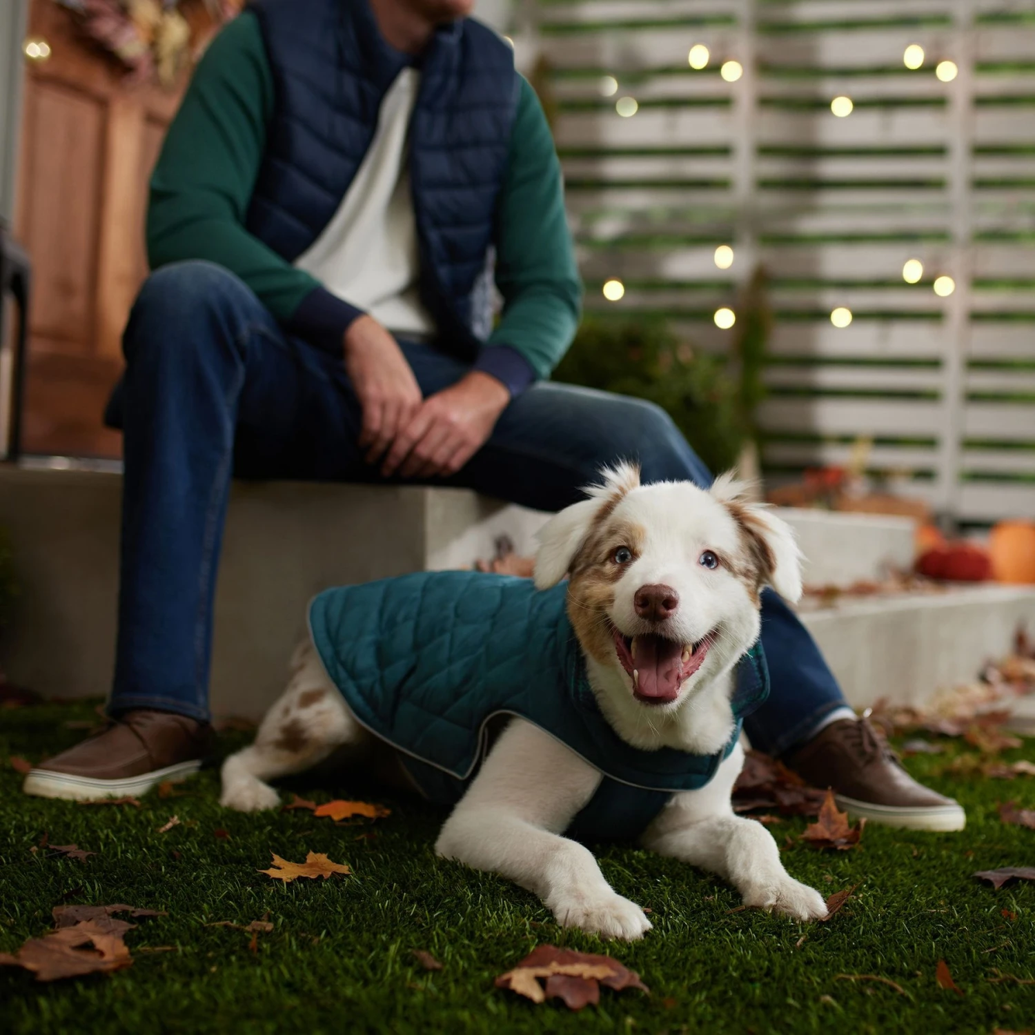 Frisco Mediumweight Reversible Dog & Cat Coat 9 Frisco Mediumweight Reversible Dog & Cat Coat - Image 7