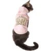 Frisco Pawsitive Vibes Only Dog & Cat Hoodie 1 Frisco Pawsitive Vibes Only Dog & Cat Hoodie -Pet Cat Store 353957 MAIN. AC SS1800 V1659012620