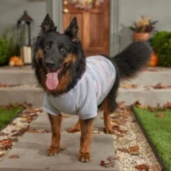 Frisco Pink Tie Dye Dog & Cat Hoodie 16 Frisco Pink Tie Dye Dog & Cat Hoodie -Pet Cat Store 353981 PT7. AC SS1800 V1660749835