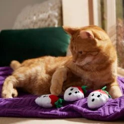 Frisco Halloween Ghost Strawberries Plush Cat Toy With Catnip, 3 Count -Pet Cat Store 354127 PT3. AC SS1800 V1657657123