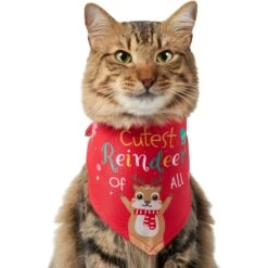 Frisco Cutest Reindeer Of All Dog & Cat Bandana