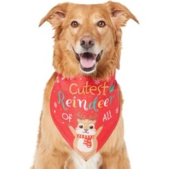 Frisco Cutest Reindeer Of All Dog & Cat Bandana -Pet Cat Store 357931 PT2. AC SS1800 V1660756046