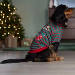 Frisco Naughty, Nice, I Tried Dog & Cat T-Shirt -Pet Cat Store 358301 PT7. AC SS1800 V1661797473