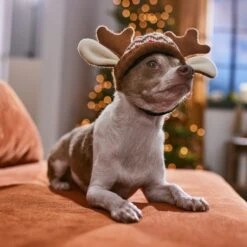 Frisco Antler Fair Isle Dog & Cat Hat 12 Frisco Antler Fair Isle Dog & Cat Hat -Pet Cat Store 358313 PT4. AC SS1800 V1661798696