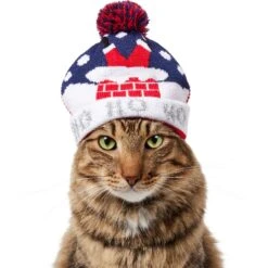 Frisco Ho Ho Ho Dog & Cat Hat -Pet Cat Store 358475 PT2. AC SS1800 V1660759400