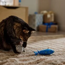 Frisco Hanukkah "Happy Pawnukkah" Fish Plush Cat Toy With Catnip, 2 Count 8 Frisco Hanukkah "Happy Pawnukkah" Fish Plush Cat Toy With Catnip, 2 Count -Pet Cat Store 360877 PT3. AC SS1800 V1661874179