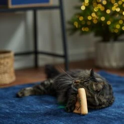 Frisco Holiday Santa's List Plush & Feather Cat Toy With Catnip -Pet Cat Store 360895 PT3. AC SS1800 V1661874361