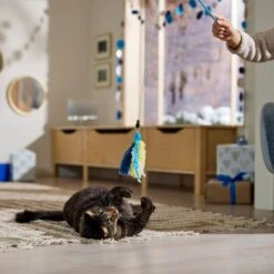 Frisco Hanukkah Interchangeable Teaser Wand Cat Toy With Catnip 8 Frisco Hanukkah Interchangeable Teaser Wand Cat Toy With Catnip -Pet Cat Store 360911 PT3. AC SS1800 V1661890134