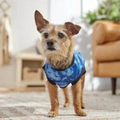 Frisco Tie-Dye Dog & Cat T-Shirt -Pet Cat Store 368816 PT7. AC SS1800 V1664994331